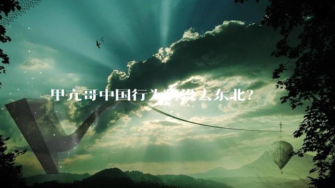 甲亢哥中国行为何没去东北？