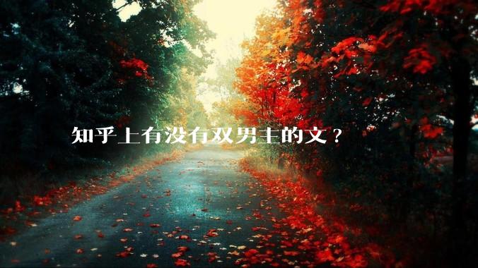 知乎上有没有双男主的文?