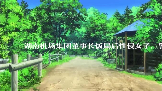 湖南机场集团董事长饭局后性侵女子，警方通报「已被刑拘」，他将承担哪些法律责任？
