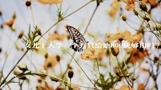 女儿上大学一个月只给她800块够用吗?